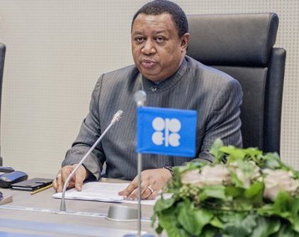 OPEC Says Oil, Gas Key To Meeting Global Energy Needs