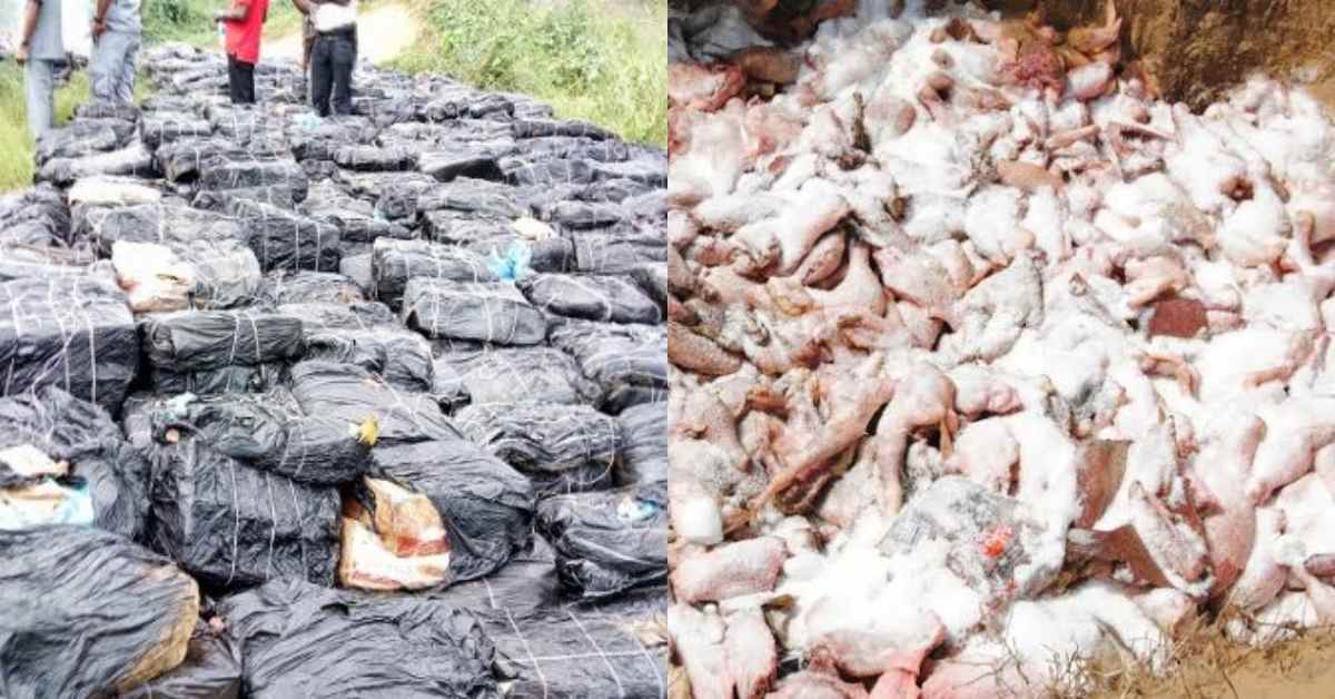 CGC Strike Force Team zone ‘A’ Lagos Confiscate1,393 Cartons Of Frozen Poultry Products