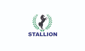 Stallion Motors Bags Manufacturer of the Year Award