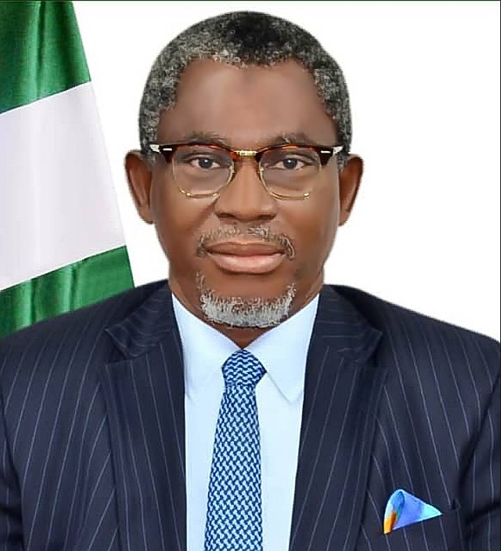 Nigeria Sees Exponential Mining Sector Growth Within Five Years -Minister