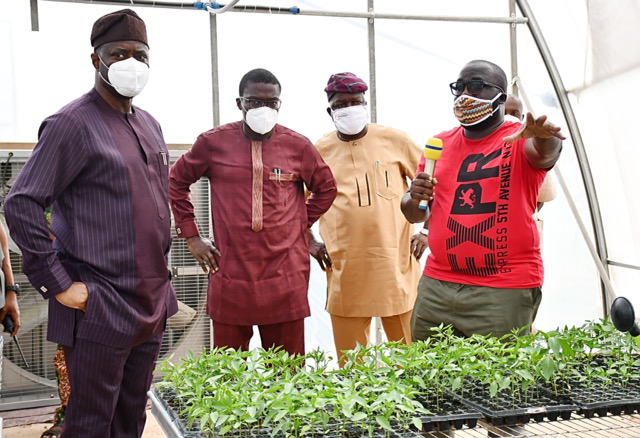 From left, Oyo State Governor, Engr Seyi Makinde; Executive Adviser on Agric Business, Dr Debo Akande; Commissioner for Agriculture, Mr Muyiwa Ojekunle and Chairman Kartlos  Farms Limited, Mr Osinowo Owolabi during the governor inspection of the farm at Akufo farm Settlement, Eruwa road, Ibadan. PHOTO: Oyo State Government.