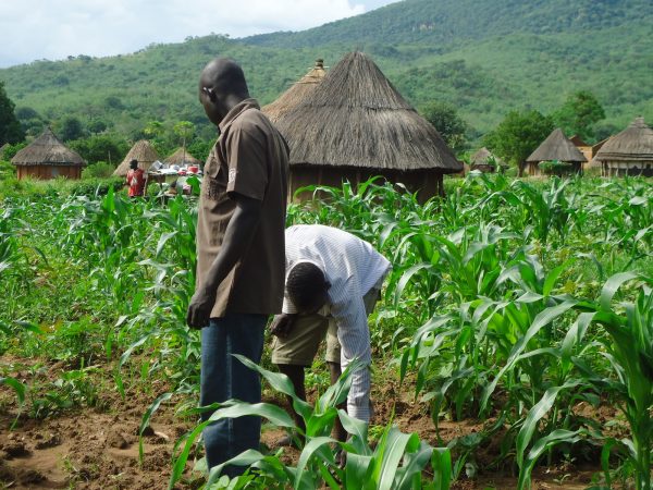 LAPO Empowers 129,637 Farmers With N10.9bn Loans