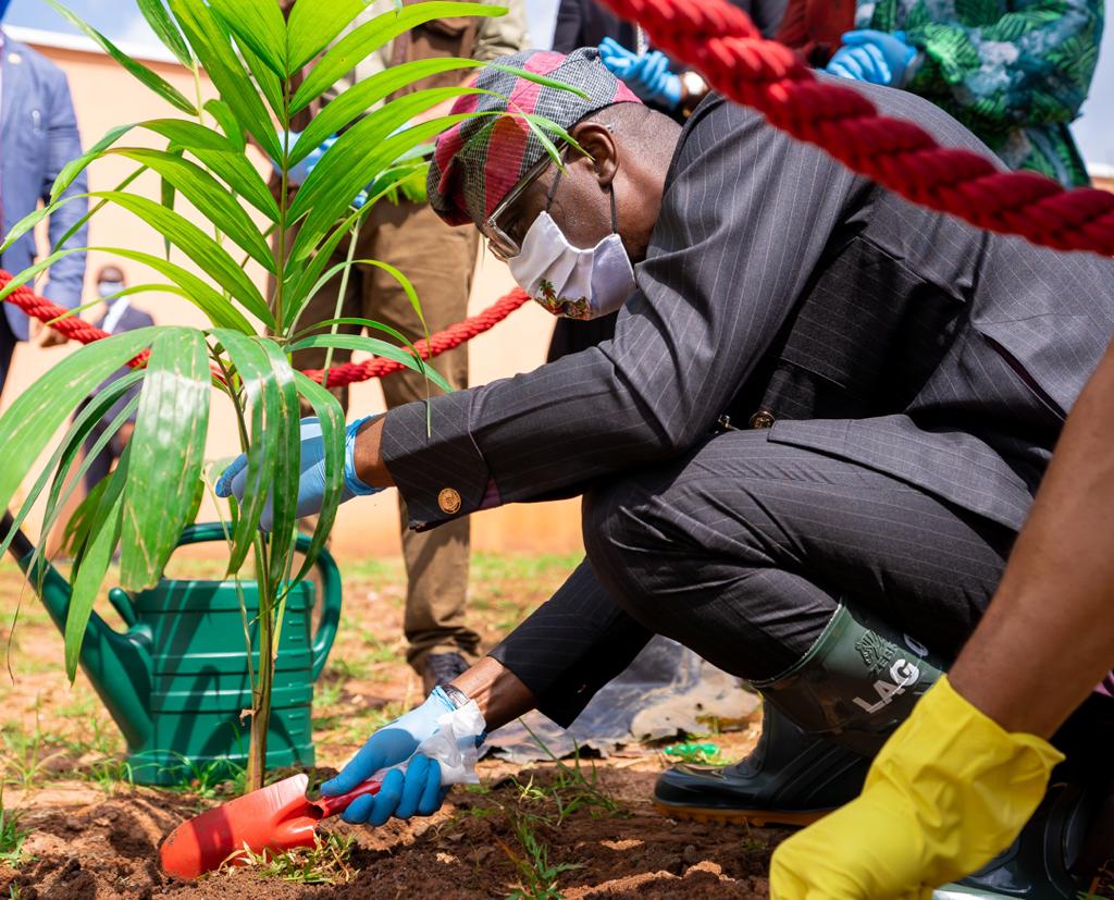 Sanwo-Olu Applaud Health Workers‘ Sacrifice, As Lagos Marks Tree -Planting Day