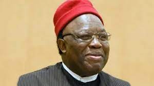 Ohanaeze Meets, Canvasses Igbo Unity, Restructuring