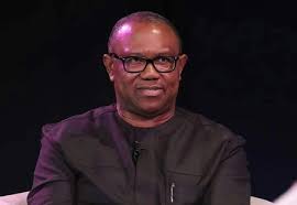 VAT: Discussions On Fiscal Federalism Will Make Nigeria Productive – Peter Obi