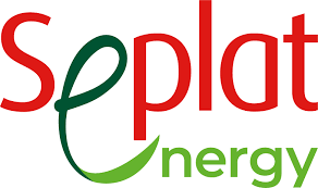Seplat Energy Upgraded To ‘B’ By Fitch, Outlook Stable