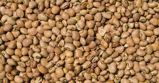 FG Wants EU Ban On Nigerian Beans Exports Lifted