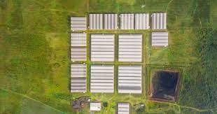 DobiAgriCo expands business operations with the launch of 12 additional Greenhouses