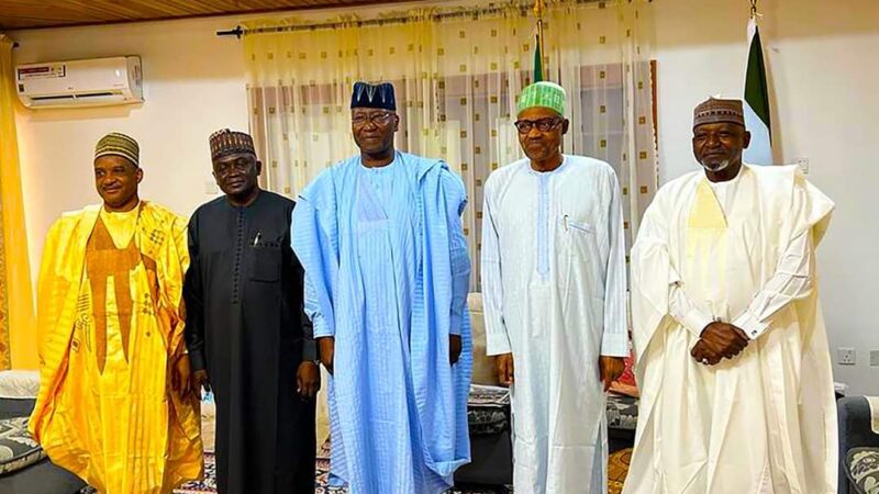 Photos: NIMASA DG, Bashir Jamoh Pays Sallah Visit To President Buhari In Daura