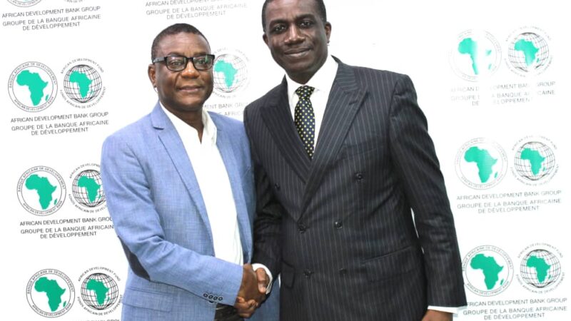 Photo: MD, Development Bank Of Nigeria, Dr Tony Okpanachi Visits, DG Country  Department Of AfDB In Abuja