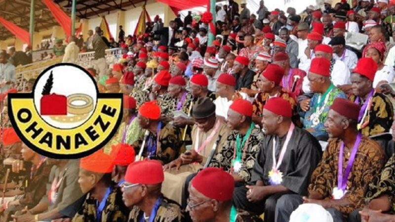 Every Nigerian, Candidate Free To Campaign In Any Part Of The Country – Ohanaeze