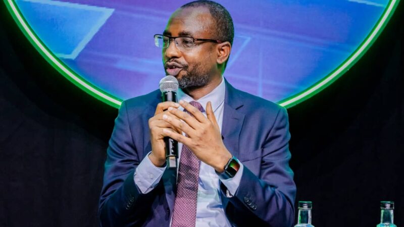 Nigeria Has Competitive Advantage In The Global Talent Factory– DG NITDA