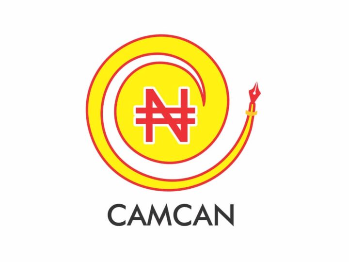 DMO DG To X-ray Nigeria’s Public Debt At CAMCAN Workshop