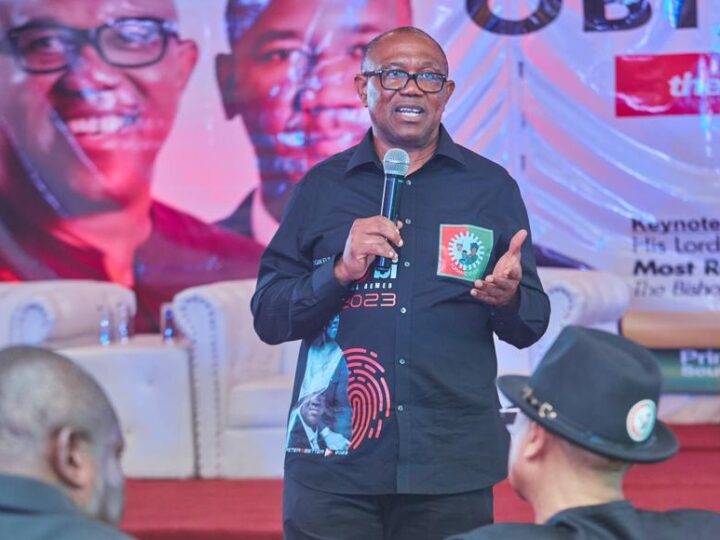 Private Sector Critical To Any Government Business, Says Obi