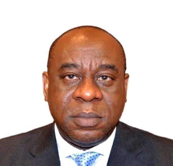 Profile Of Acting CBN Governor, Adebisi Shonubi