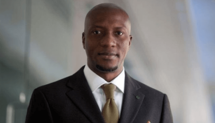Nigeria To Witness More Investment Flows –Onyema