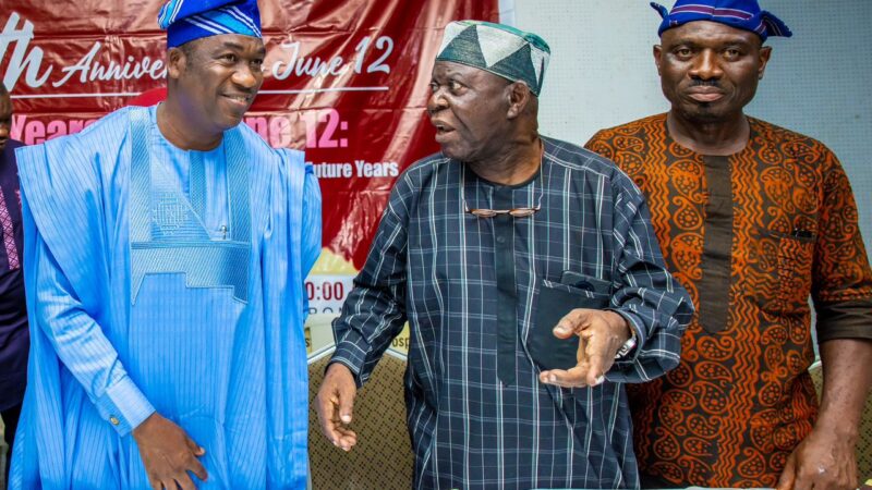 Photos: Gov Sanwo-Olu Attends 30th Anniversary Of June 12 In Commemoration Of  Democracy Day