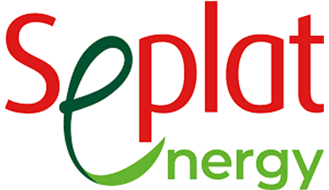 Seplat Energy Grows 2023 H1 Revenue By 3.8% To N278.3bn