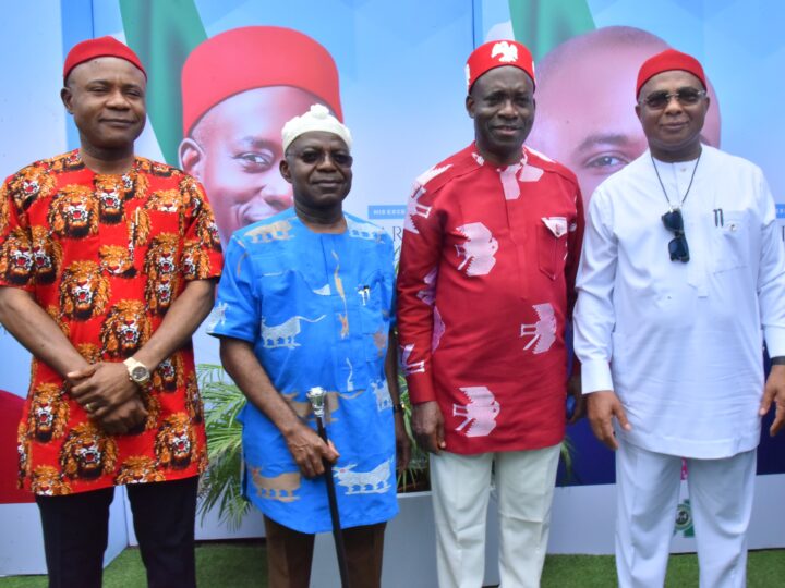 South East summit heralds a glorious new dawn, says Uzodimma