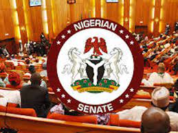  Senate Passes N2.18trn 2023 Supplementary Budget Bill