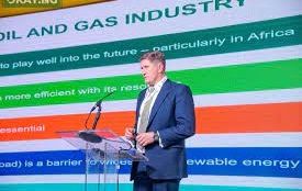 Africa Should Reposition Energy Industry For Future – Roger Brown