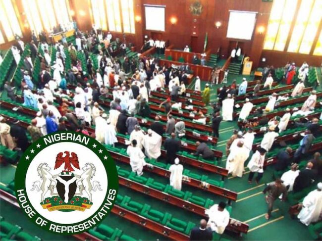 Reps Committee Approves N706.67bn As NCS 2024 Budget