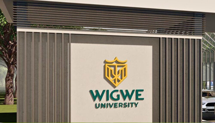 Wigwe University Says Nigerian Students Will Pay In Naira, Explains Dollar Fees