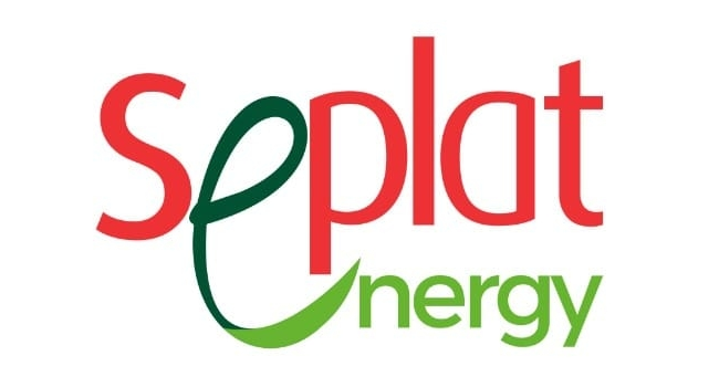 Gas Is Nigeria’s Logical Transition Fuel, Says Seplat Energy