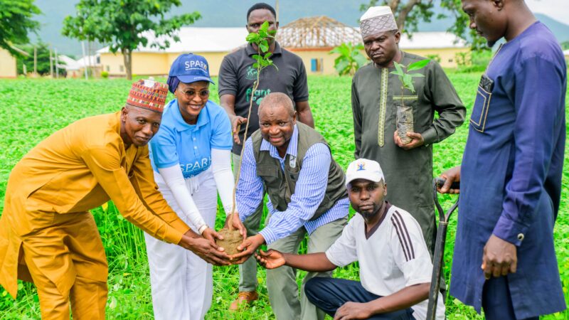 50,000 Target: FirstBank, NCF Extend Tree Planting To FCT